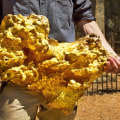 Where is most gold in the world found?